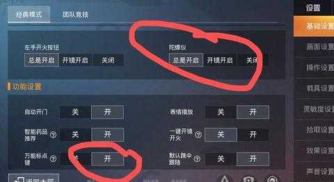 和平精英最强辅助怎么加（和平精英辅助 使用教程）