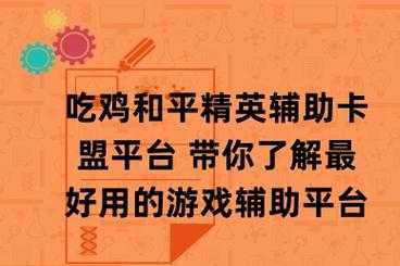 卡神卡盟和平精英辅助软件(卡盟平台官网和平精英辅助)