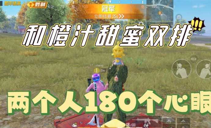 和平精英甜蜜双排辅助(和平精英双生辅助)