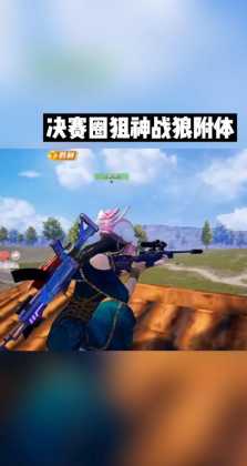 和平精英战斧辅助图片大全(和平精英战狼辅助)