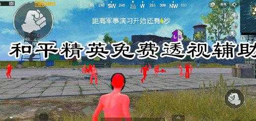 和平精英免费透视辅助iis（和平精英免费透视辅助 202005 最新版）