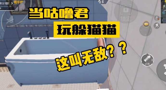 猫猫辅助和平精英(咪咪和平精英辅助)