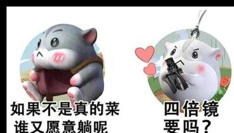 和平精英灰鱼辅助真的假的(和平精英小灰灰o)