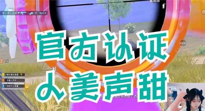 和平精英七喵科技辅助（和平精英七喵本人照片）