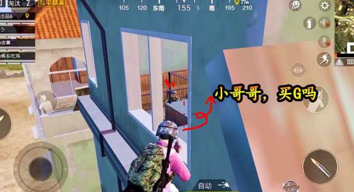 和平精英辅助小梦(和平精英小梦视频全集)
