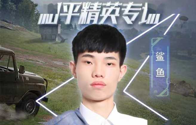 和平精英辅助小鲨鱼(和平精英辅助鲨鱼直装)