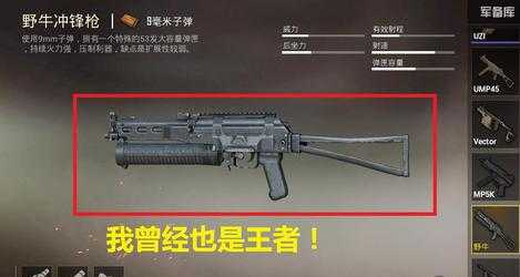 和平精英步枪辅助器怎么用(和平精英步枪辅助器怎么用的)