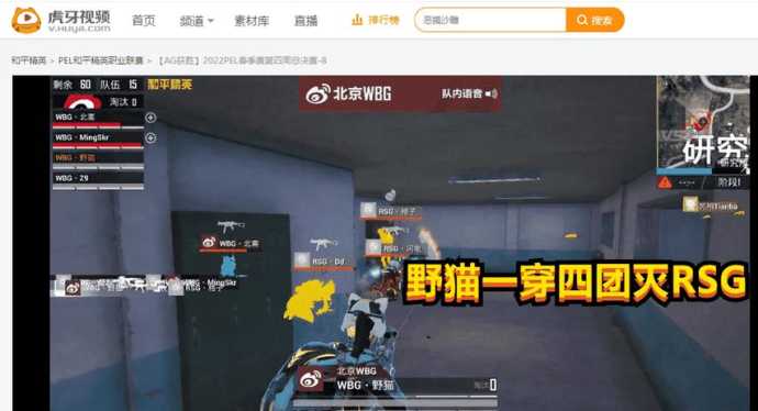 和平精英的夜猫辅助器是什么(野猫和平精英)