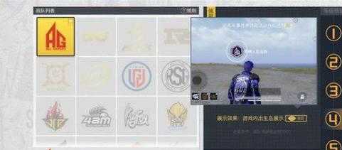 和平精英辅助是什么职业（和平精英辅助哪个好）