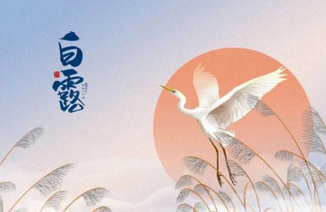 和平精英白露辅助(和平精英白露用的什么挂)