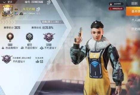 和平精英光子辅助官网(和平精英光子的本人照片)