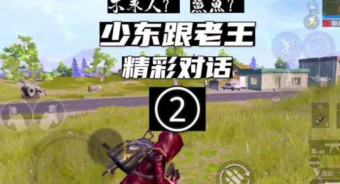 老王辅助和平精英官网(和平精英老王插件)