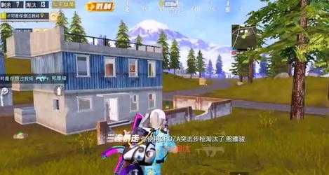 和平精英仙鹤辅助(和平精英仙鹤叫什么名字)