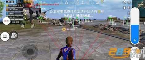 和平精英鸡仙辅助免费(和平精英鸡仙辅助最新版)