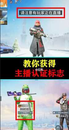 和平精英最强辅助大神(和平精英最好用的辅助)