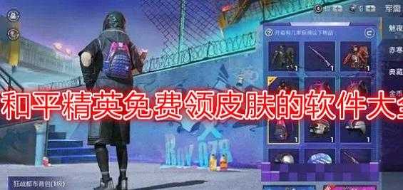 和平精英带皮肤的辅助叫什么（和平精英皮肤辅助软件）