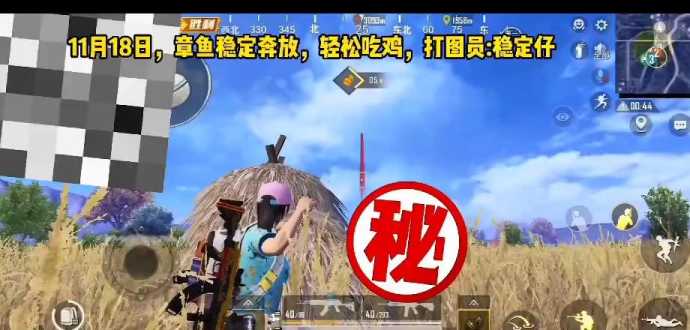 章鱼和平精英辅助(章鱼儿解说和平精英)