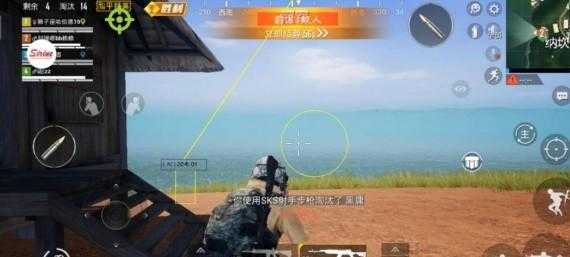 和平精英迪斯尼直装辅助(和平精英siriue辅助)