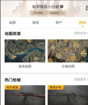 和平精英和平营地辅助工具(和平营地营地工具)