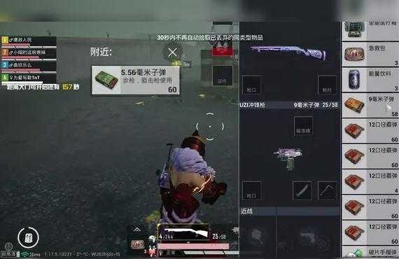 和平精英子弹追踪心柔辅助(和平精英子弹穿透)