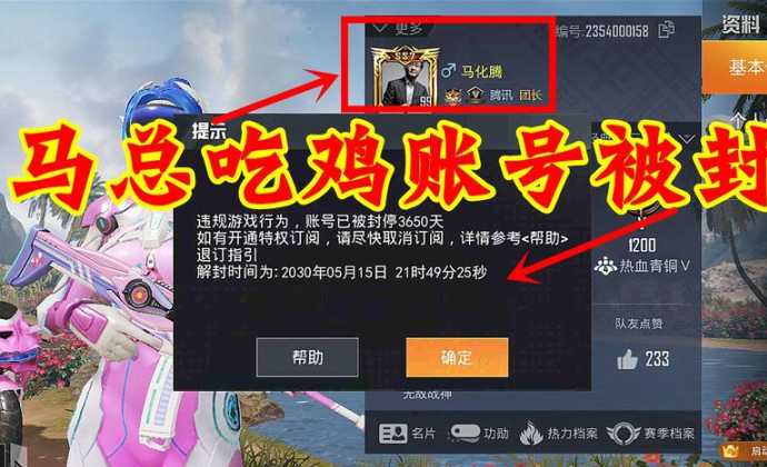 和平精英妹控直装辅助卡密(和平精英开挂带妹)