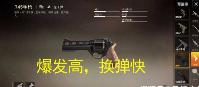 和平精英单发辅助器有哪些(和平精英单发枪有哪些)