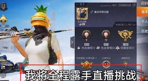 和平精英辅助直装是啥意思(和平精英主播辅助器)
