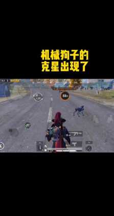 和平精英狗子辅助怎么玩(和平精英猎狗辅助)