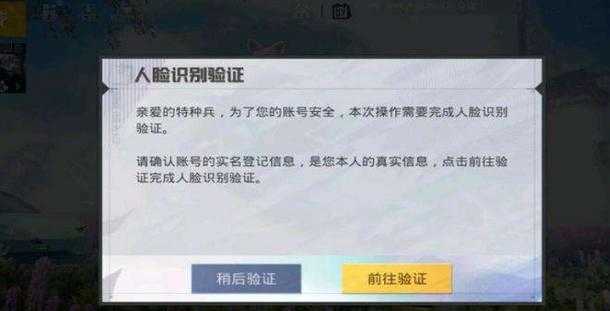 和平精英人脸远程辅助(和平精英人脸远程辅助软件)