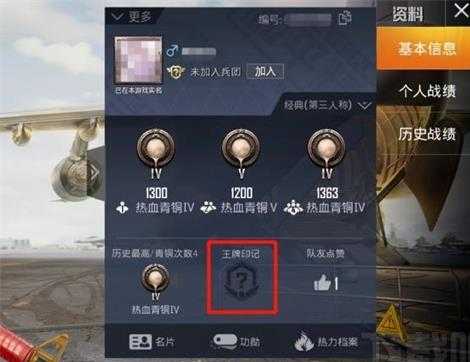 和平精英辅助查看人头(和平精英怎么查看队友人头)