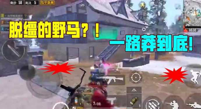 和平精英野马辅助官网(和平精英牛马辅助)