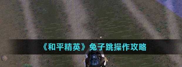 和平精英兔子辅助使用方法(和平精英兔子辅助使用方法教学)