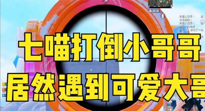 七猫辅助和平精英（和平精英七喵是不是开挂）