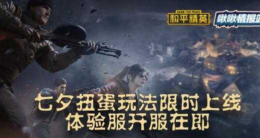 和平精英辅助和平之眼(和平精英辅助和平之眼怎么开)