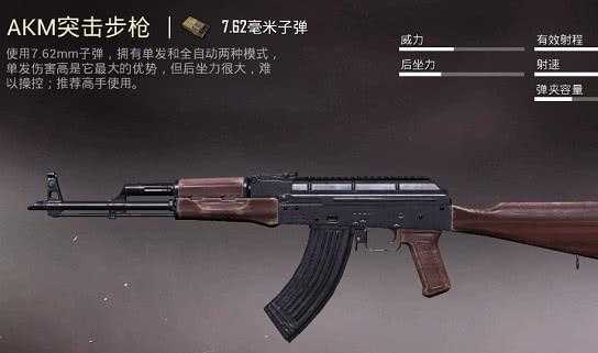 阿宽和平精英辅助（和平精英akm辅助）