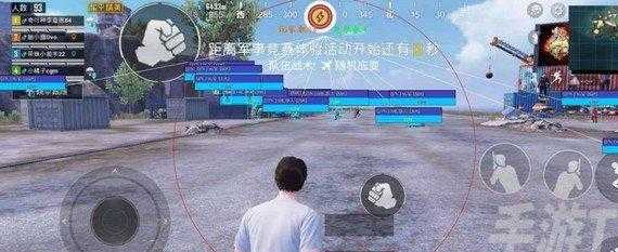 和平精英大号辅助怎么上分(和平精英大神辅助)