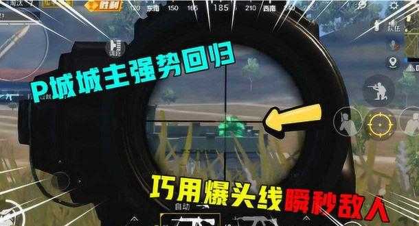 和平精英爆头线开辅助瞄准有用吗(和平精英 爆头线)
