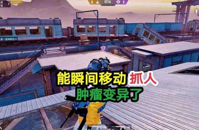 和平精英变态辅助哪个好用(和平精英突变版本辅助)