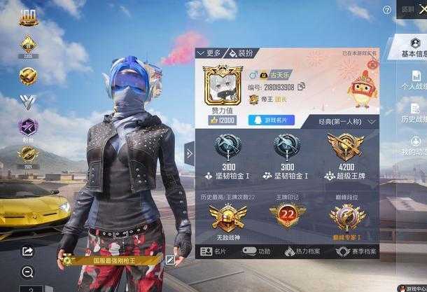 和平精英至尊直装辅助(和平精英至尊pro30绘制辅助)