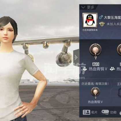 小象和平精英辅助(和平精英小白辅助)