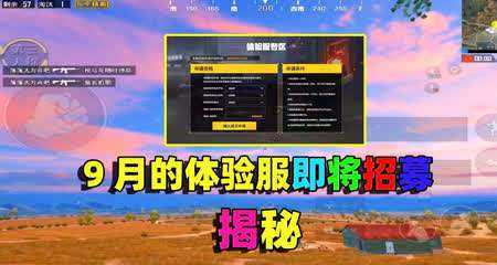 和平精英战狼辅助靠谱吗(战狼辅助官网)