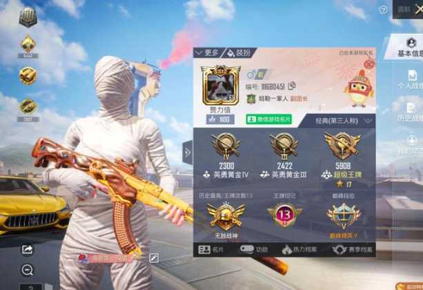 和平精英辅助跟谁配合打(和平精英辅助叫什么名字)