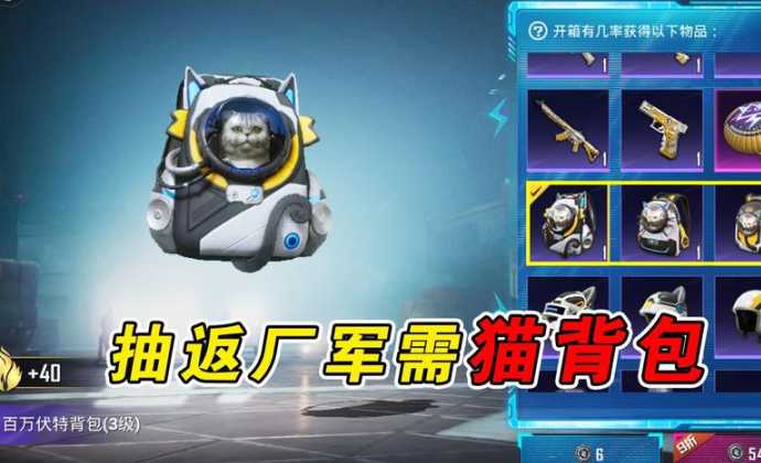 和平精英猫咪辅助官网网址(和平精英猫咪图片大全集)