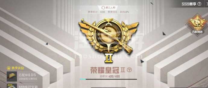 皇冠辅助和平精英激活码(和平精英皇冠送多少服饰币)
