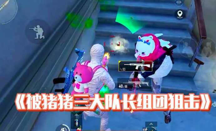 和平精英猪猪辅助官网（和平精英猪猪在哪里直播）
