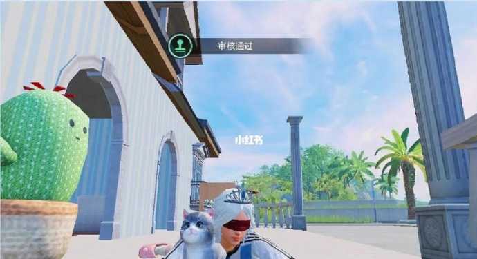 猫咪咪辅助和平精英（猫咪辅助攻略）