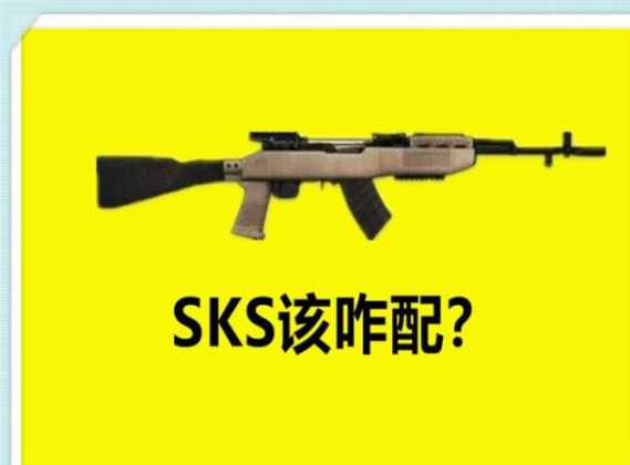 和平精英sks一秒十枪辅助(和平精英辅助开枪神器)