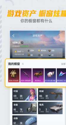 和平精英esp辅助官网(和平精英进化esp辅助)