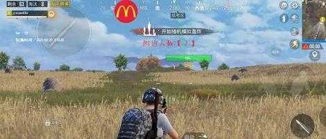 和平精英麦当劳辅助最新版(和平精英麦当劳直装破解版)