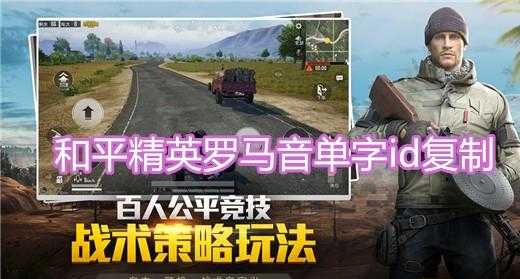 和平精英之汉堡辅助(548wgcn和平精英辅助)